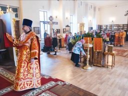 Пребывание ковчега с мощами свт. Пантелеимона